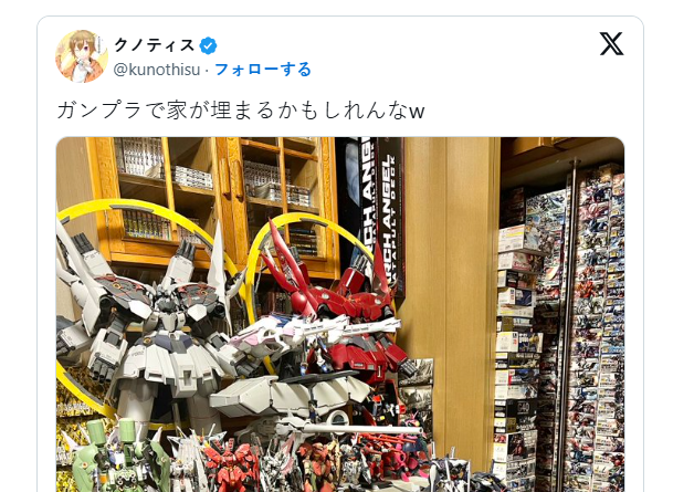 顶级胶佬展示满屋的钢普拉引热议 房子大小阻碍激情
