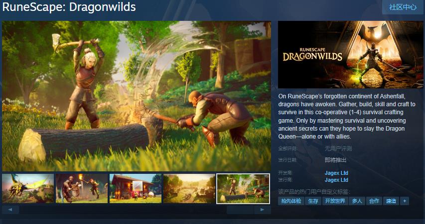 合作生存游戏《RuneScape: Dragonwilds》Steam页面 发售日待定