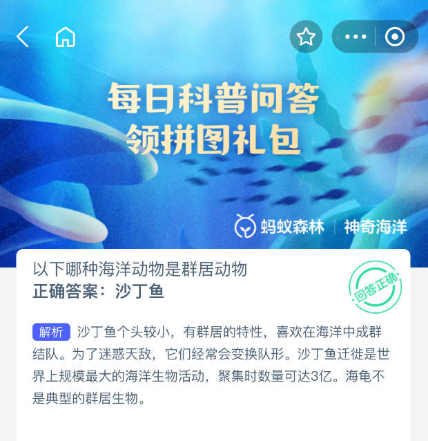 以下哪种海洋动物是群居动物