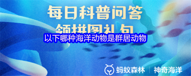 以下哪种海洋动物是群居动物