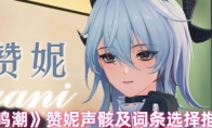 《鸣潮》赞妮声骸及词条选择推荐