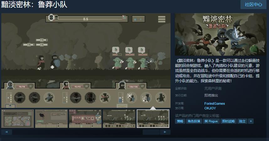 回合制游戏《黯淡密林：鲁莽小队》Steam页面 发售日待定