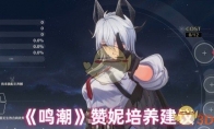 《鸣潮》赞妮培养建议