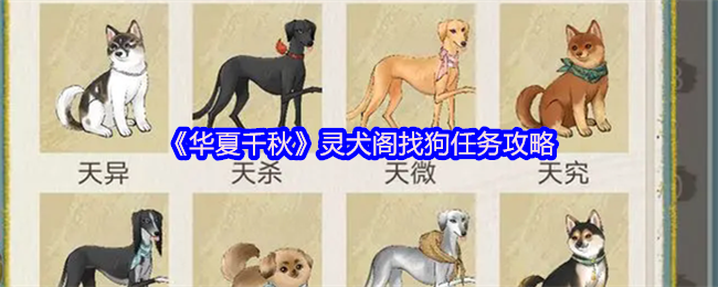 《华夏千秋》灵犬阁找狗任务攻略