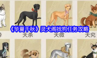 《华夏千秋》灵犬阁找狗任务攻略