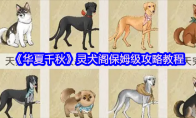 《华夏千秋》灵犬阁保姆级攻略教程