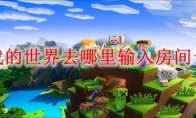 我的世界去哪里输入房间号