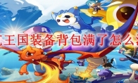 洛克王国装备背包满了怎么清理
