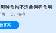 以下哪种食物不适合狗狗食用