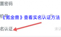 《氪金兽》查看实名认证方法