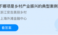 以下哪项是乡村产业振兴的典型案例