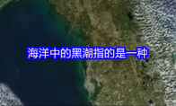 海洋中的黑潮指的是一种