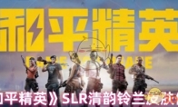 《和平精英》SLR清韵铃兰皮肤价格