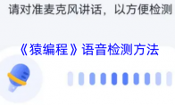 《猿编程》语音检测方法