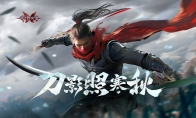 网易手游《流星群侠传》宣布停运 关闭大部分服务器