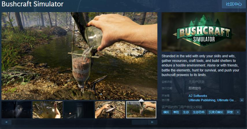 冒险游戏《Bushcraft Simulator》Steam页面 发售日待定