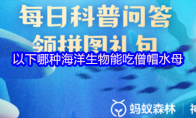 以下哪种海洋生物能吃僧帽水母