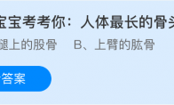 人体最长的骨头是