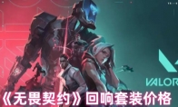 《无畏契约》回响套装价格