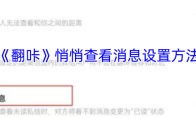 《翻咔》悄悄查看消息设置方法