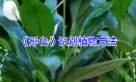 《形色》：识别植物方法