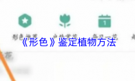 《形色》：鉴定植物方法