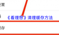 《看理想》：清理缓存方法