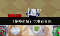 《暴吵萌厨》：大嘴花介绍