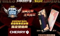 王者无双 CHERRY赞助2024FSPL职业联赛总决赛