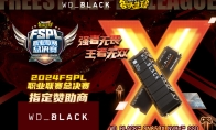 WD_BLACK硬核助力2024FSPL职业联赛总决赛