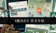 《踏风行》：丹方介绍