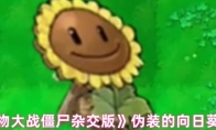 《植物大战僵尸杂交版》：伪装的向日葵介绍