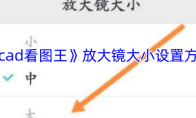 《cad看图王》放大镜大小设置方法