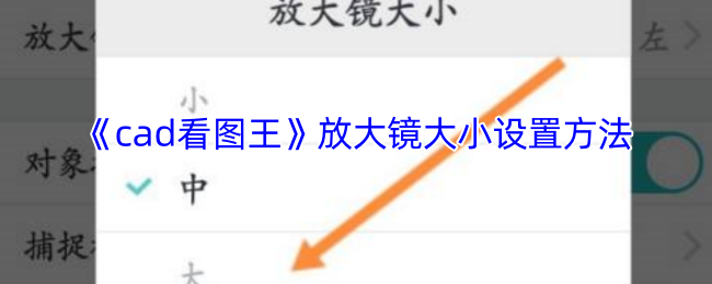 《cad看图王》放大镜大小设置方法