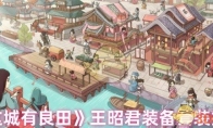 《这城有良田》王昭君装备套装推荐