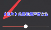 《畅片》关闭视频声音方法