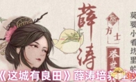 《这城有良田》薛涛培养建议