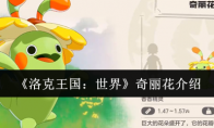 《洛克王国：世界》奇丽花介绍
